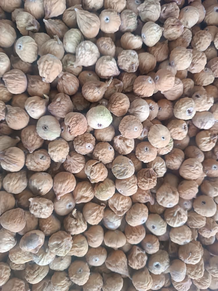 تصویر 1 از انجیر دست چین + با خرید ویژه